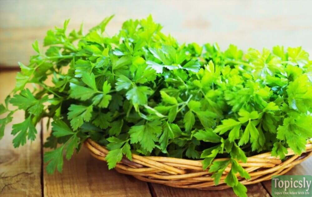 Flavonoid Food  Parsley