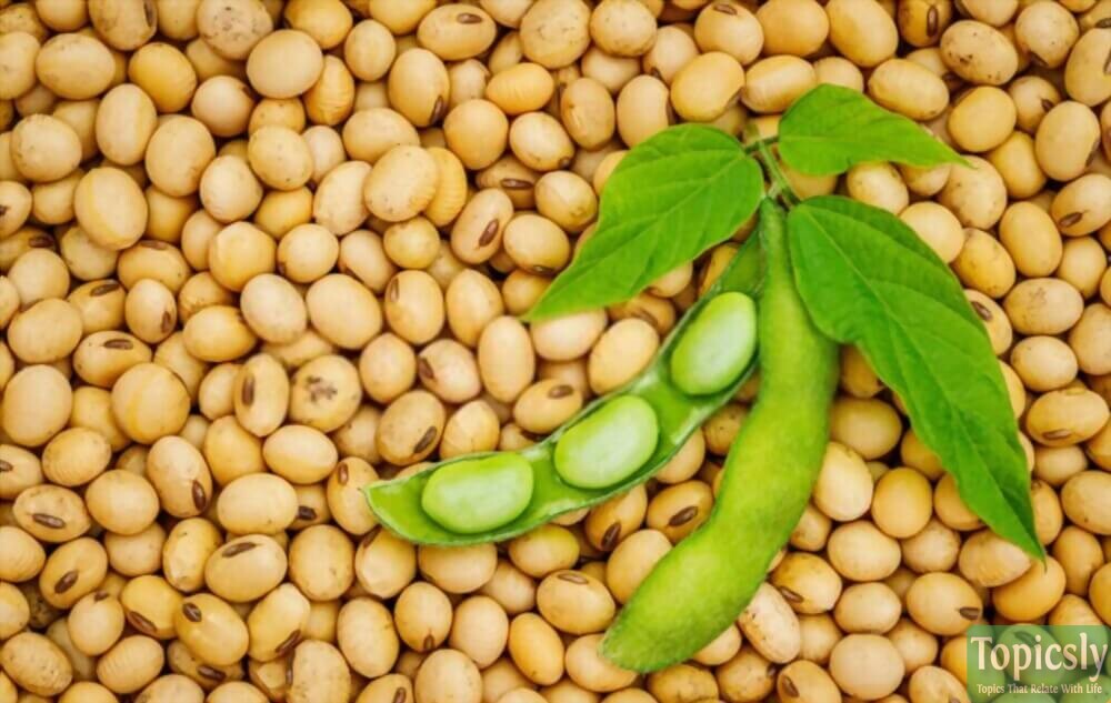 Flavonoid Food  Soybeans