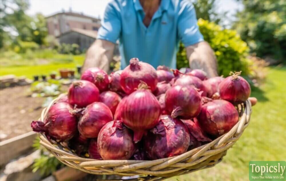Flavonoid Foods Onions