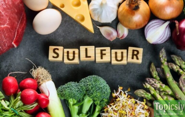 Top 10 Foods Highest in Sulfur