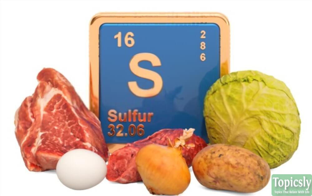 Top 10 Foods Highest in Sulfur and Their Amazing Health Benefits