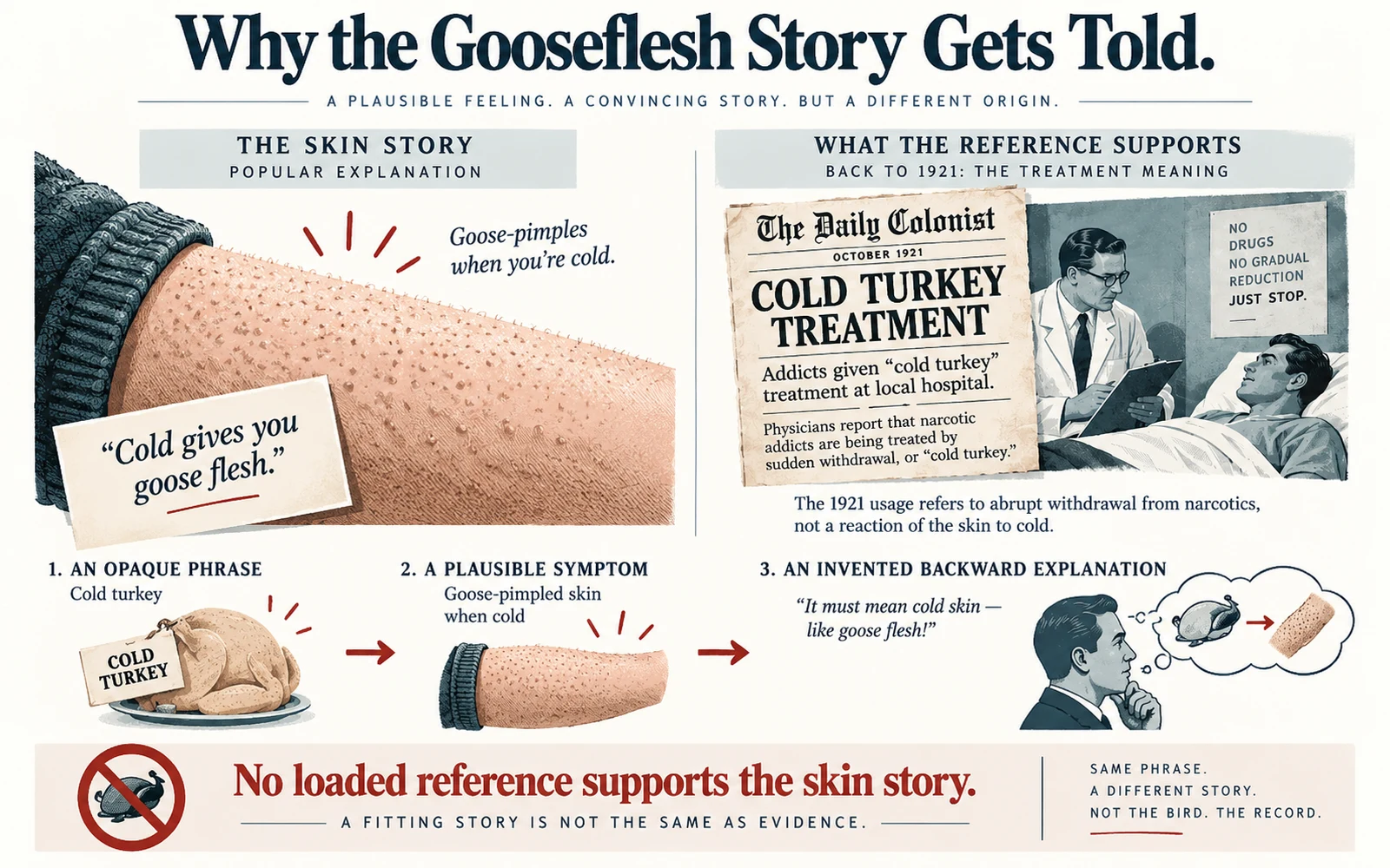 Myth-analysis infographic comparing the popular goose-pimpled skin explanation with the 1921 cold turkey treatment citation.